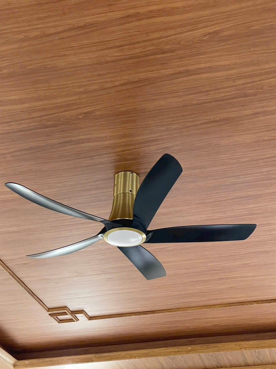 Quạt trần đèn cao cấp 05 cánh Asia Lighting QT14-DV Đen Vàng