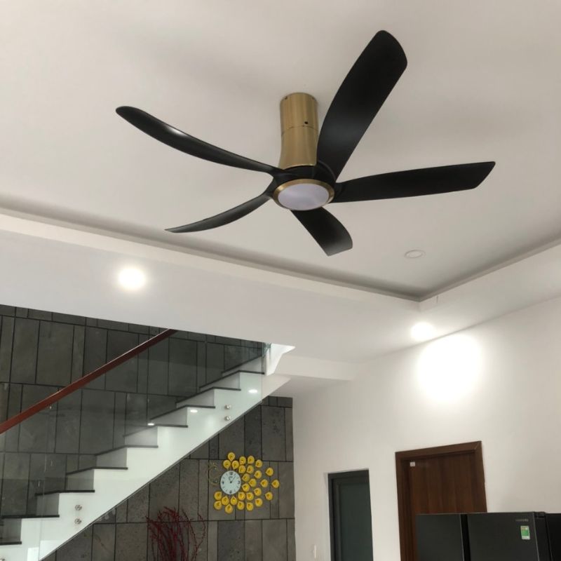 Quạt trần đèn cao cấp 05 cánh Asia Lighting QT14-DV Đen Vàng