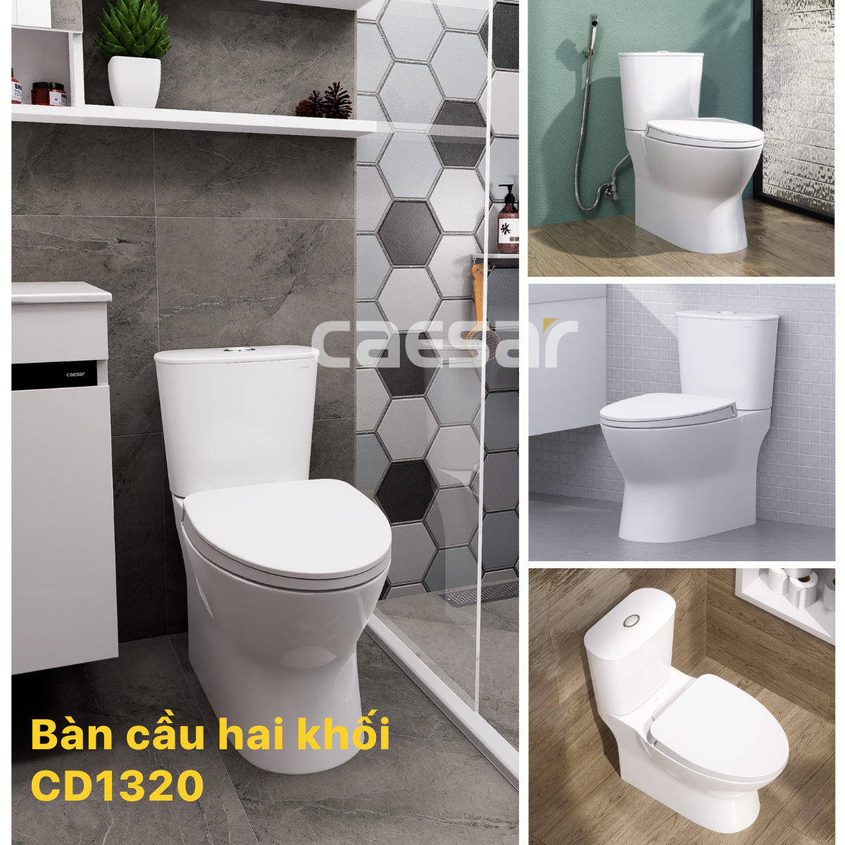 Bàn cầu 2 khối nắp rơi êm CD1320 CAESAR