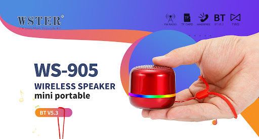 Loa bluetooth WSTER WS-905