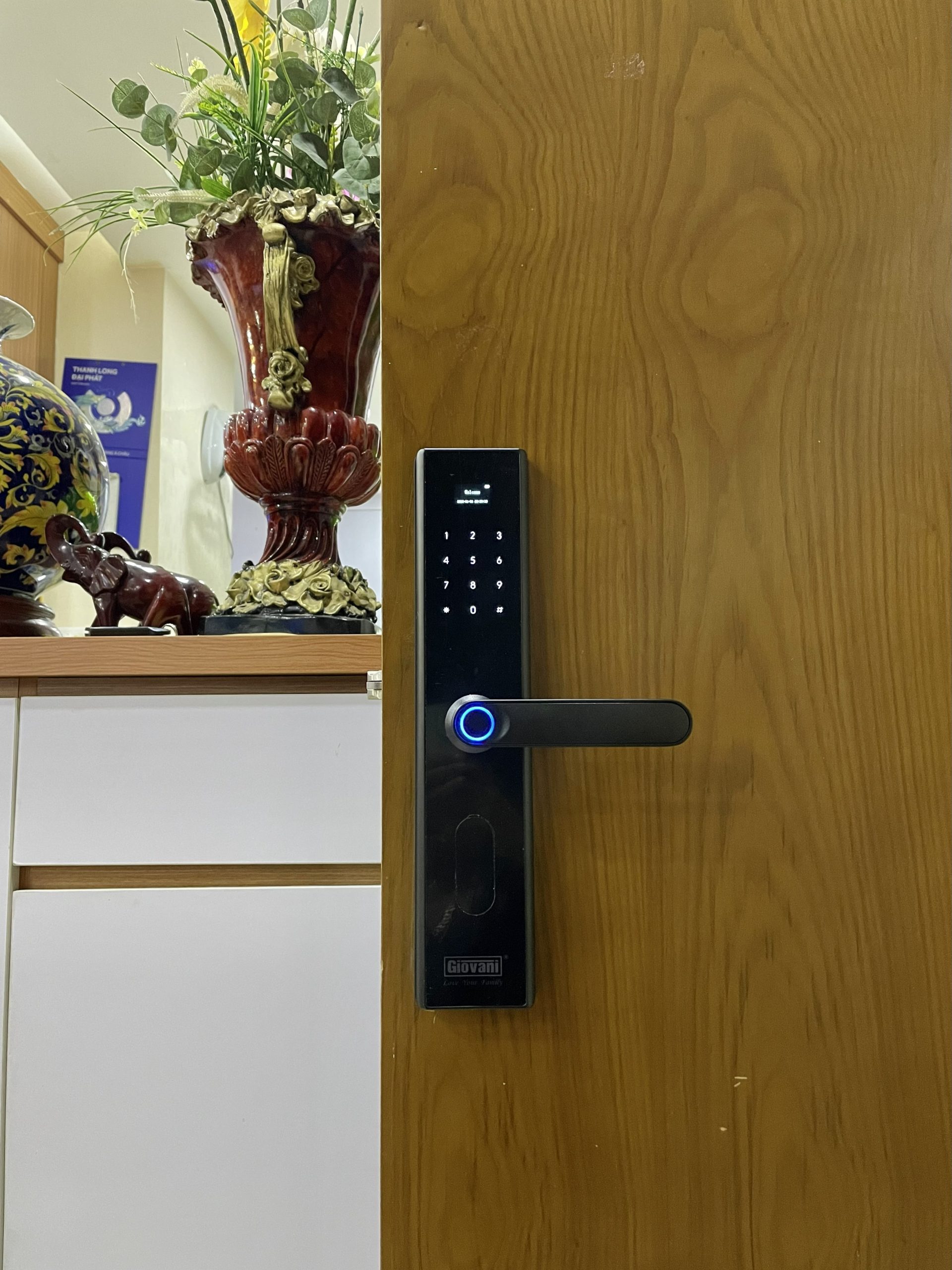 KHÓA VÂN TAY THÔNG MINH GIOVANI GSL-630B