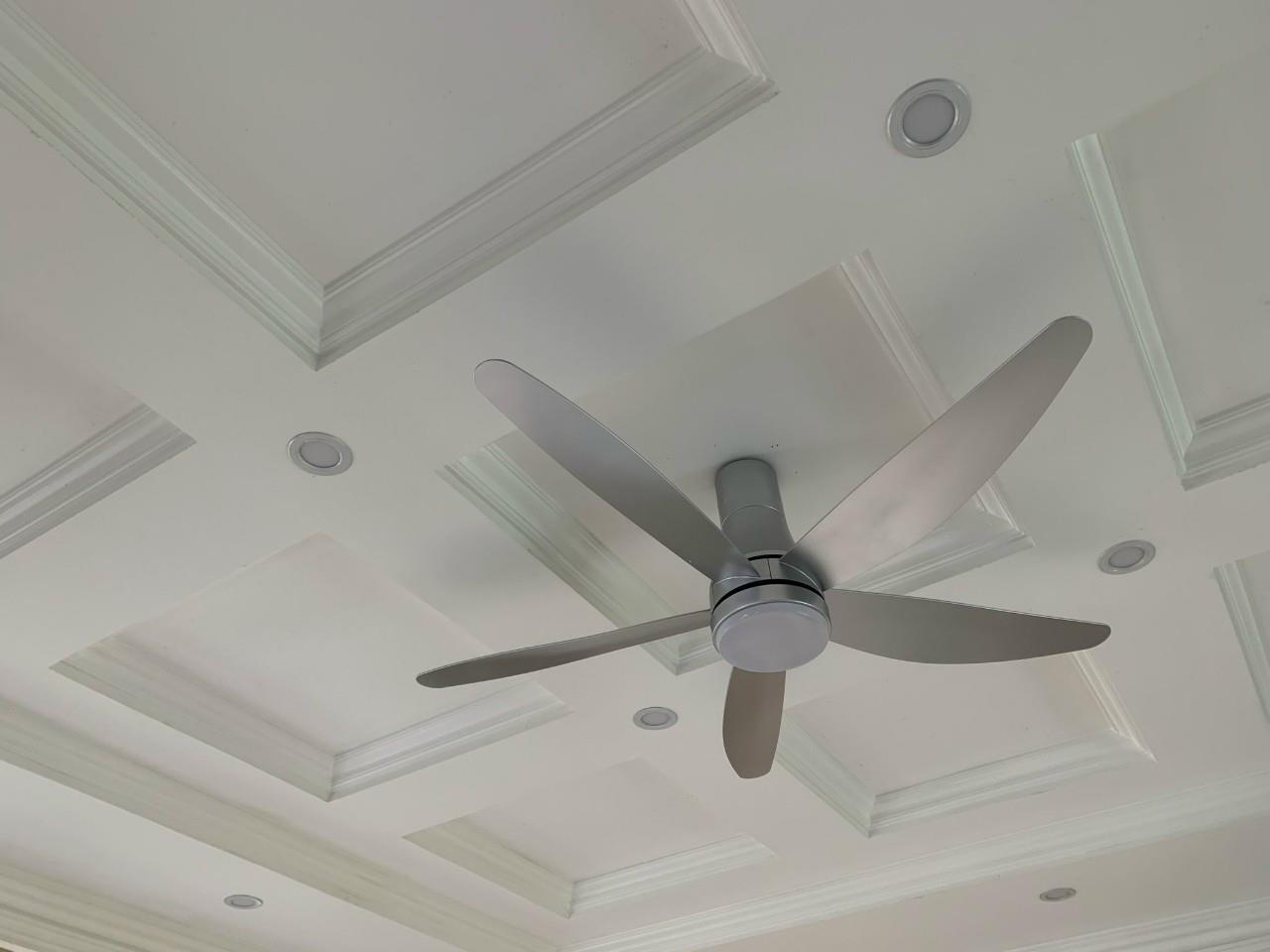 Quạt trần ECOVENTO Hoa Lan – Màu bạc