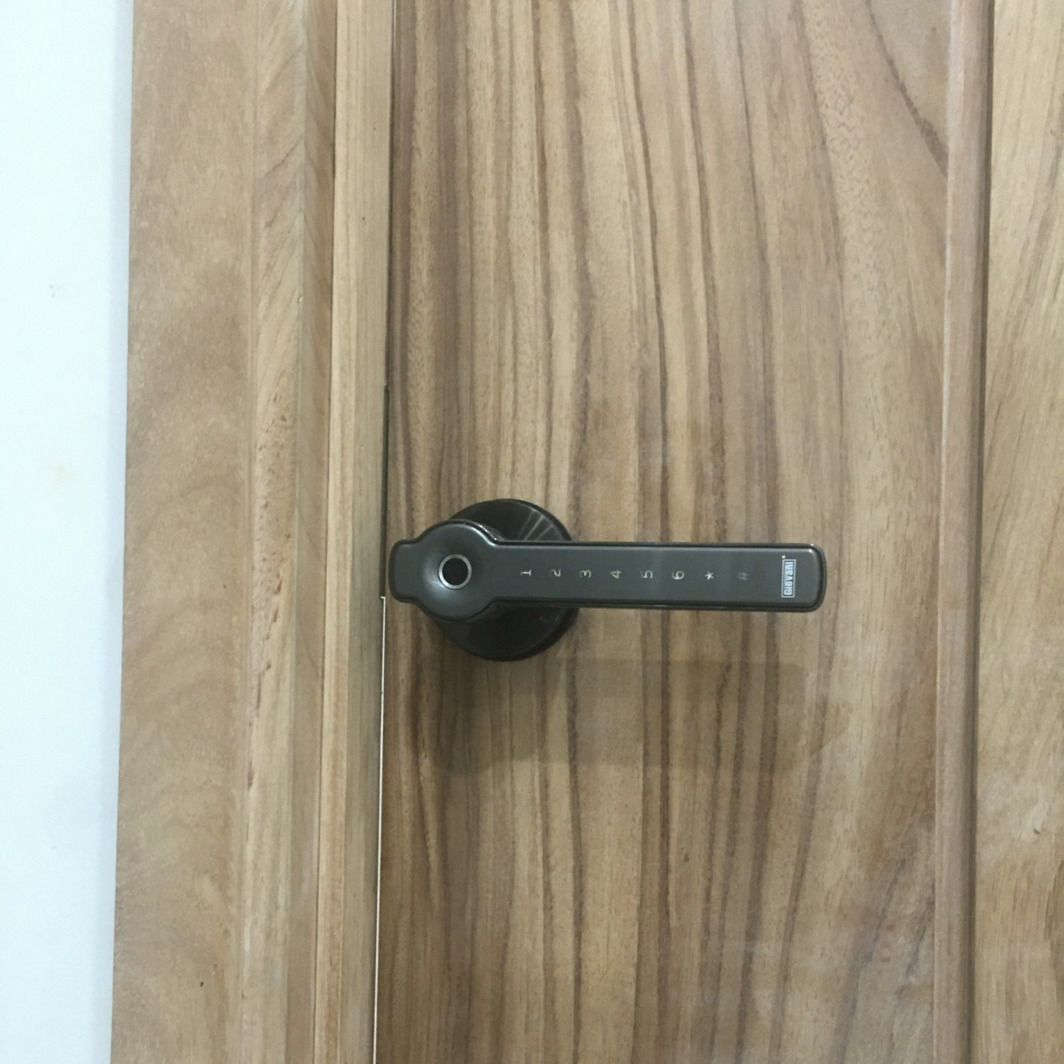 KHÓA VÂN TAY THÔNG MINH GIOVANI GSL-S3