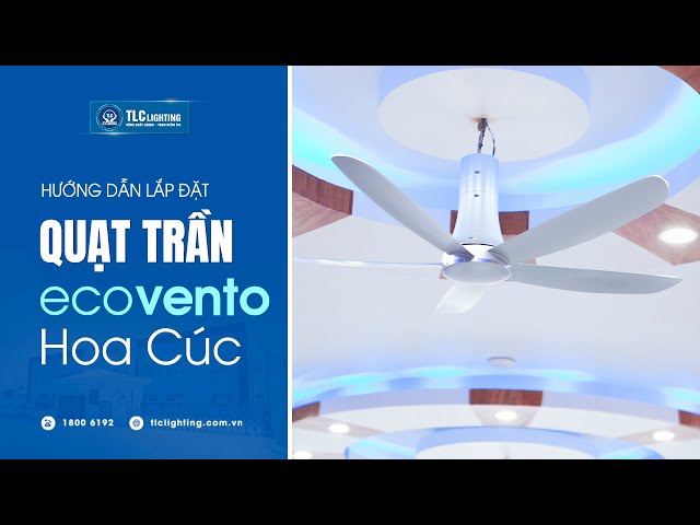 Quạt trần TLC ECOVENTO Hoa Cúc Màu bạc