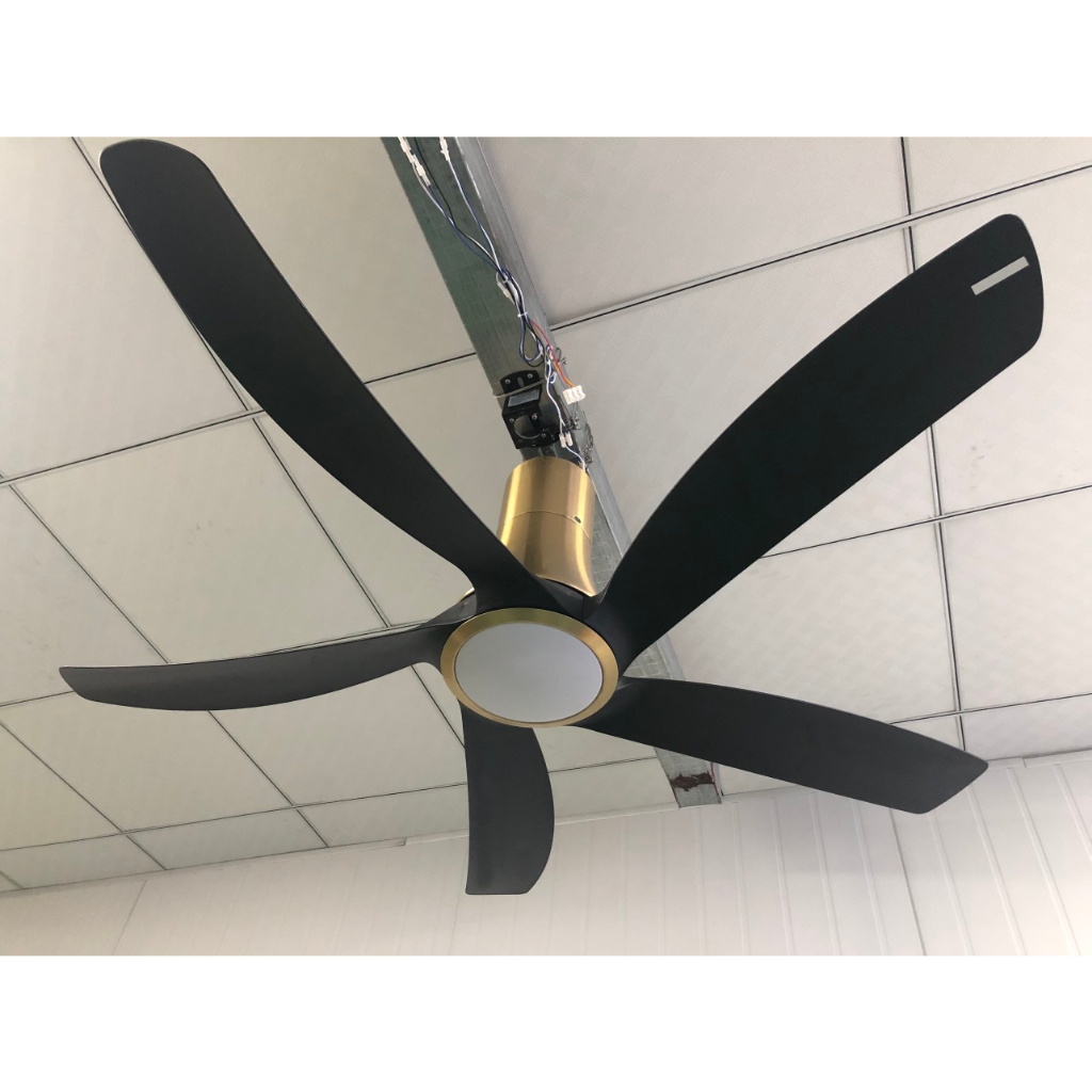 Quạt trần đèn cao cấp 05 cánh Asia Lighting QT14-DV Đen Vàng