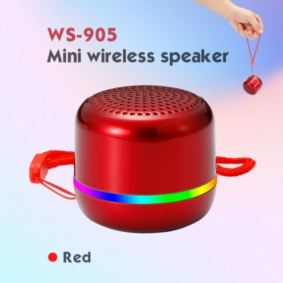 Loa bluetooth WSTER WS-905
