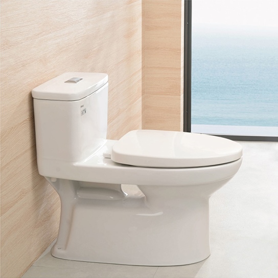 Cầu liền khối AC-969VN INAX
