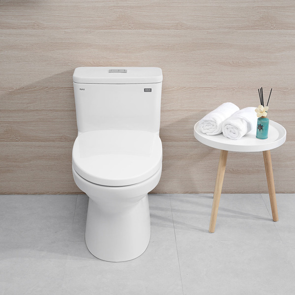 Cầu liền khối AC-969VN INAX