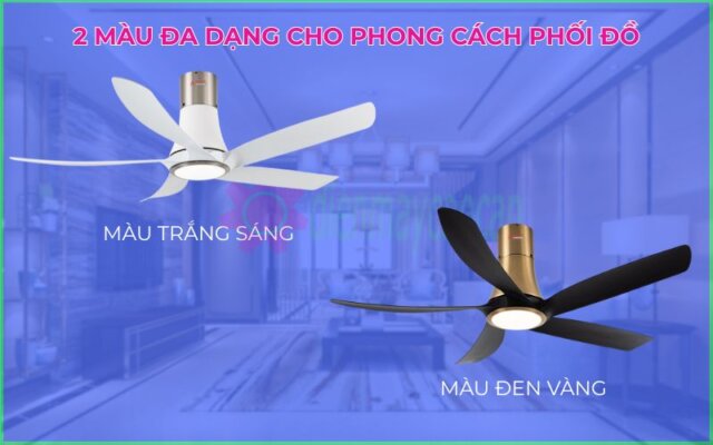Quạt trần đèn cao cấp 05 cánh Asia Lighting QT14-DV Đen Vàng